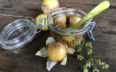 Tomatillo Chutney